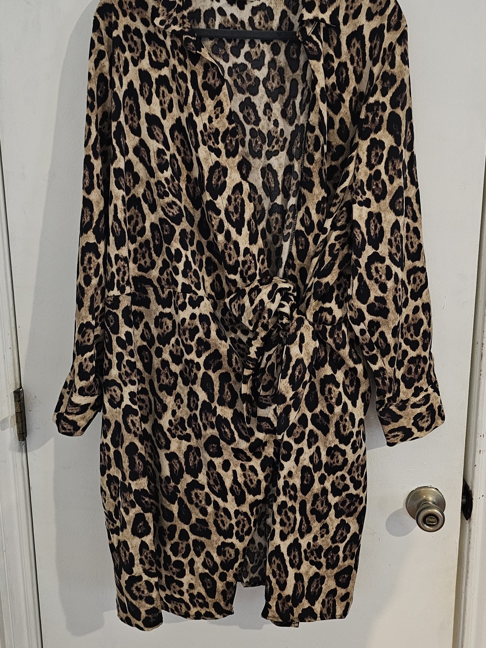 Leopard Print Tie-Waist Dress - Beige/Black
